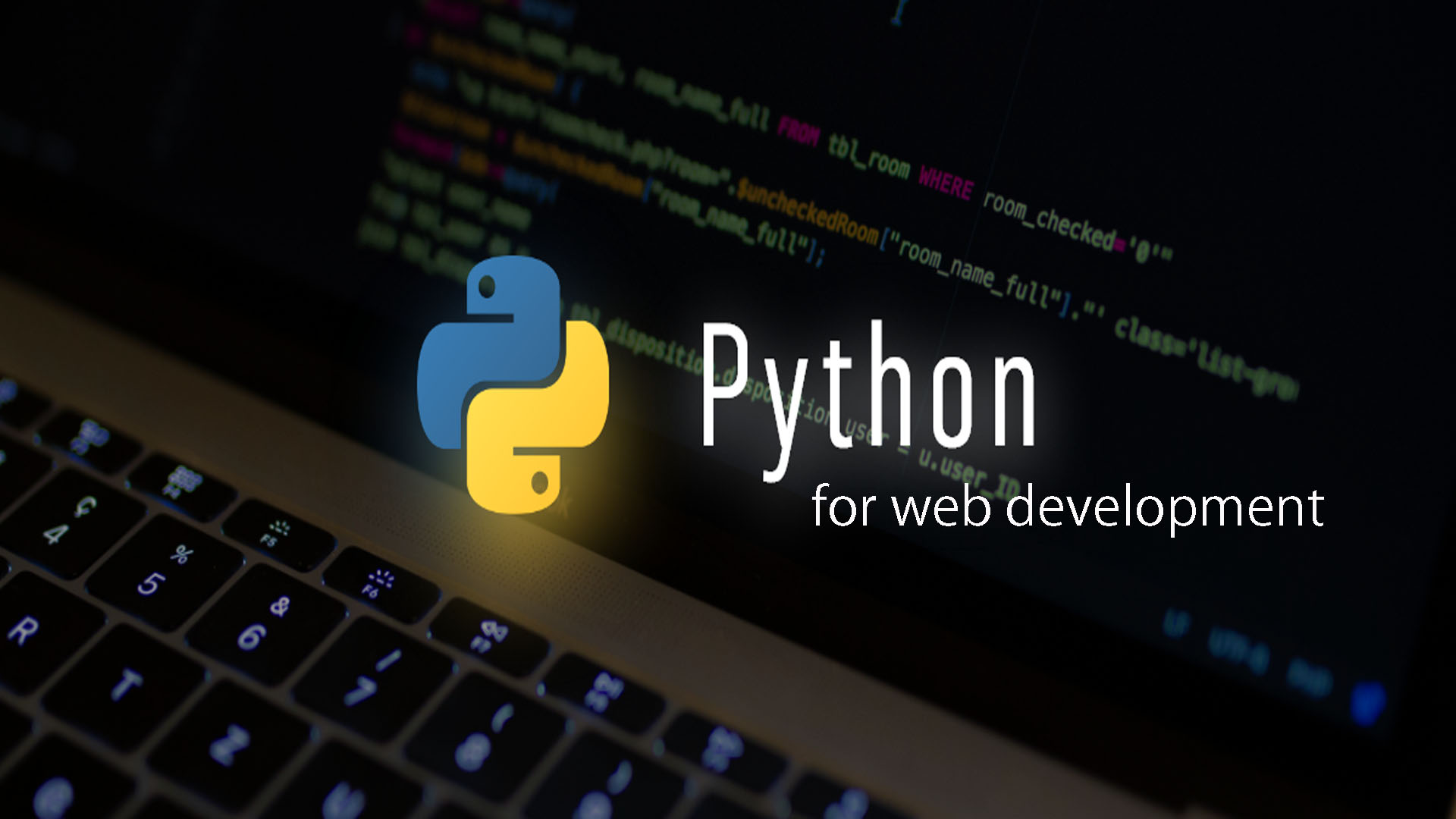 A Step-by-Step Guide to Building a Search Feature with Python Django