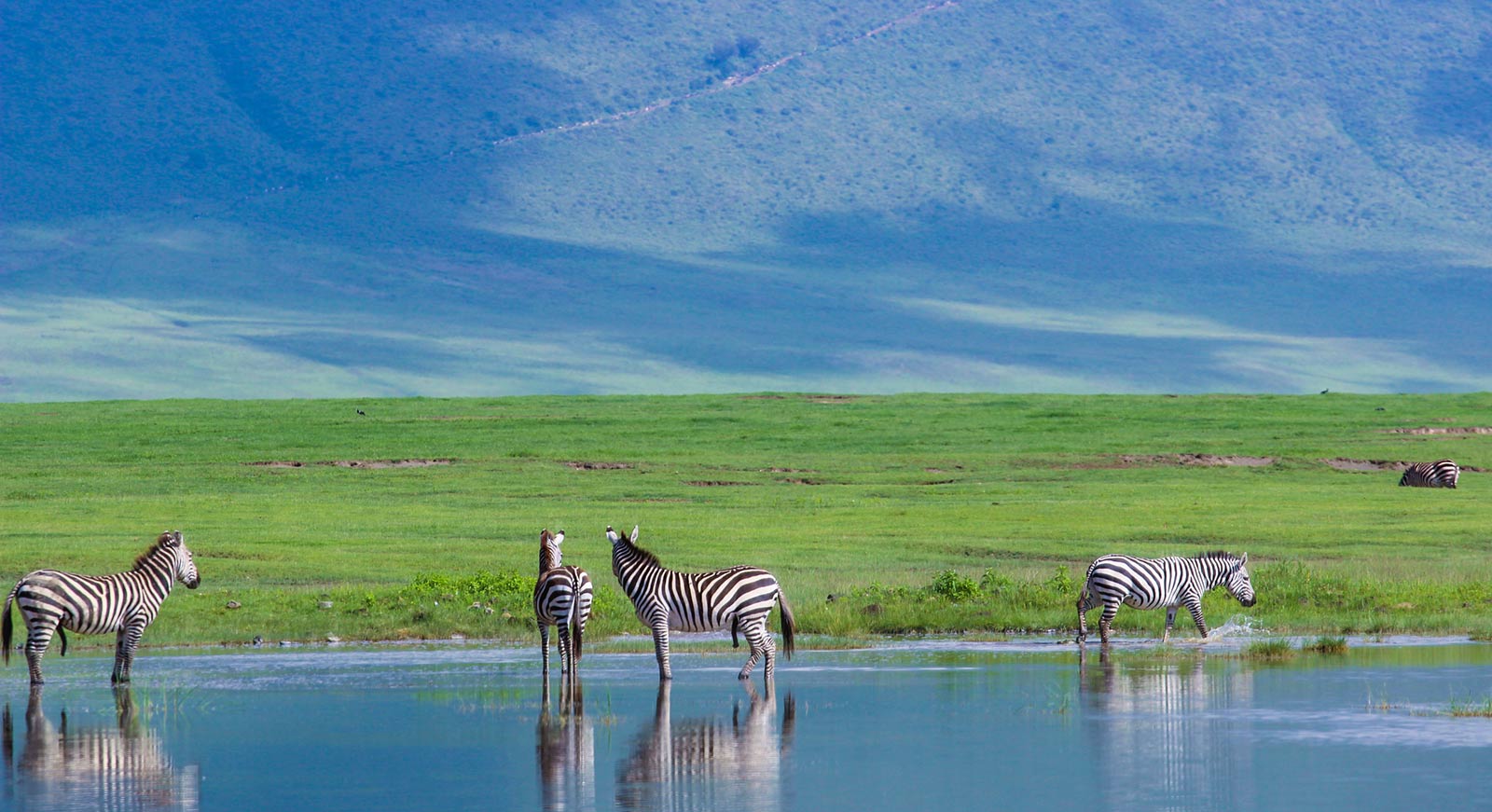 Luxury Tanzania Safari